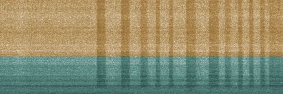 Spectrogram of a hiss in bursts, shown as dark vertical bands across the whole range.
